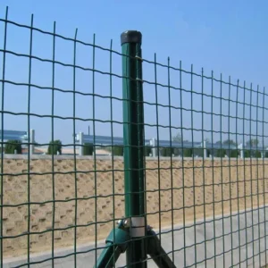 EURO Wire Fence